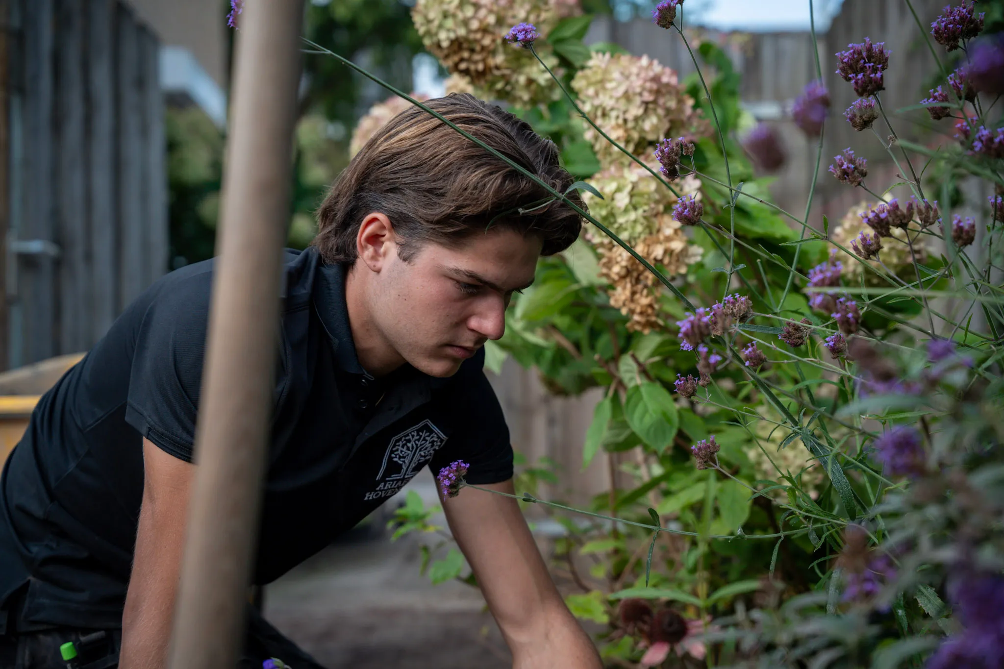 Jaap aan het werk tussen de bloemen in een tuinborder