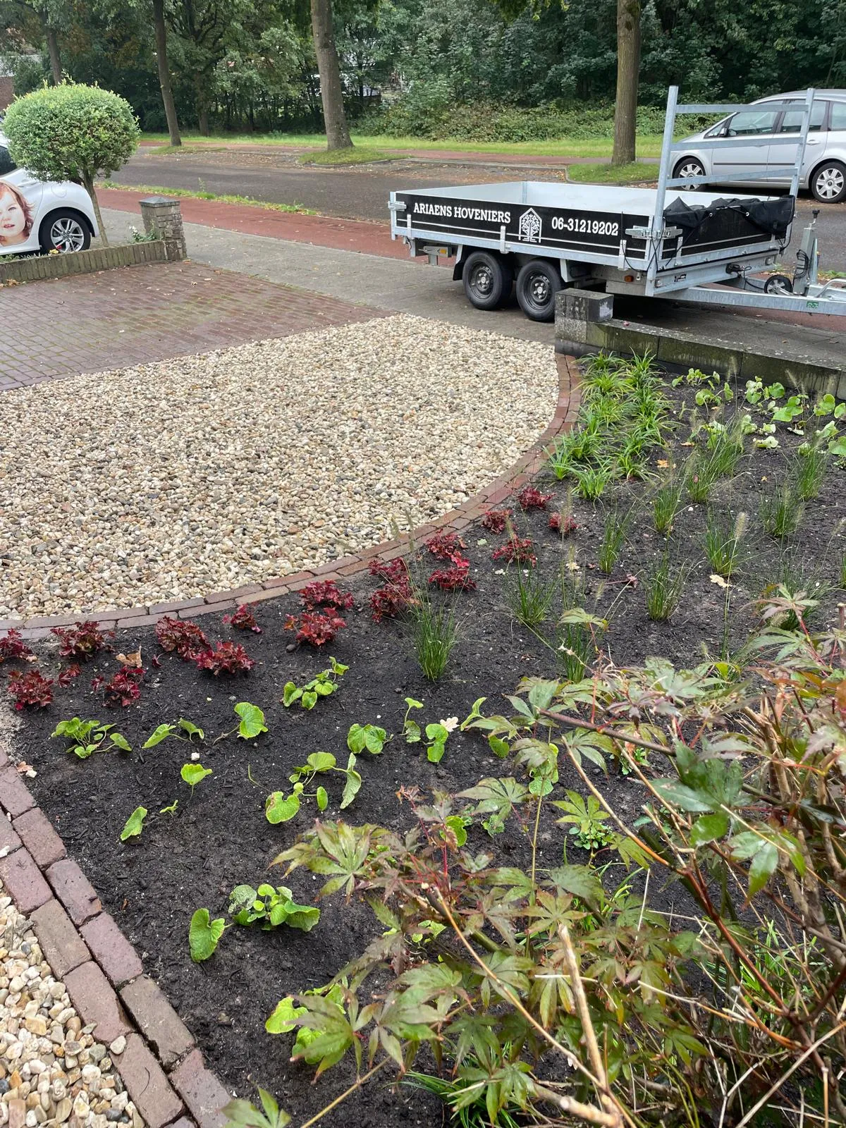 Nieuwe beplanting langs een gebogen klinkerrand en een grindvak in de voortuin